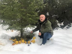 Antalya’da yaban hayatı kış yemlemesi