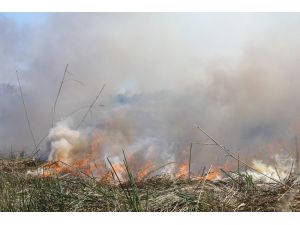Antalya’daki sazlık yangını kontrol altına alındı