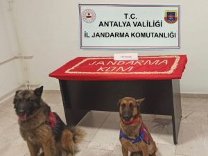 Yüklü miktarda uyuşturucuyu toprağa gömerek saklamışlar