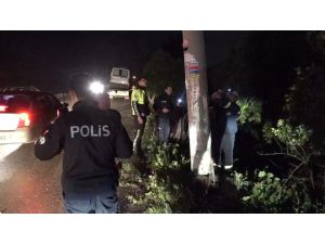 Yoldan çıkan otomobil elektrik direğine çarptı