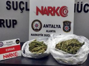 Alanya’da 1 kilo 316 gram esrar ele geçirildi