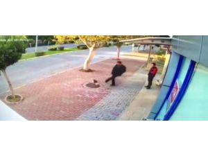 Mama bırakılmasına tepki gösterip kedileri tekmeledi