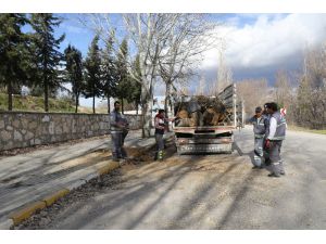 10 Metrelik Kavak Ağacı Minibüsün Üzerine Devrildi