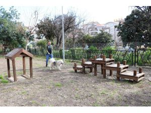 Alanya’da ilk köpek parkı hizmete açıldı