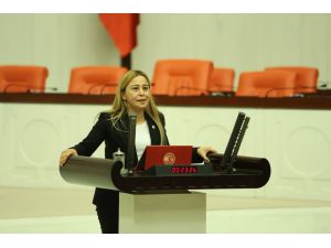 Mhp’li Esin Kara: "Sözleşmeli Devlet Tiyatroları Personeli Kadroya Alınmalı"