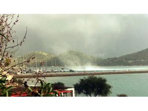 Marinadaki hortum böyle görüntülendi