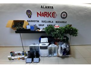 Lüks villayı uyuşturucu serasına çevirmişler