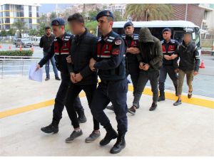 Alanya’da avokado hırsızları jandarmaya takıldı