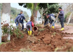 Kaş Belediyesinden peyzaj çalışması