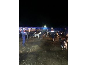 Kaybolan 145 Küçükbaş Hayvan Bulundu