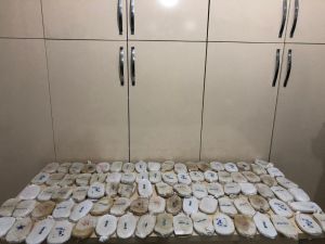 Hatay’da Uyuşturucu Operasyonu