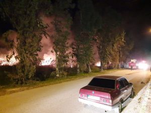 Serik’te sazlık alan yangını kısmen kontrol altına alındı