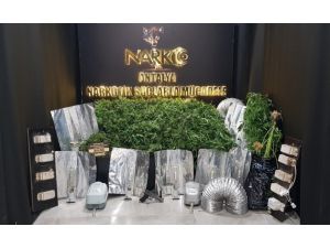 Villada klasik müzik eşliğinde kenevir yetiştiren 4 şüpheli yakalandı