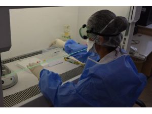 Paü Korona Virüs Tanı Laboratuvarı Yetkilendirilmesi Aldı