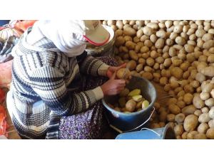“Üretim Durursa Hayat Durur” Diyerek Patates Ekimini Sürdürüyorlar