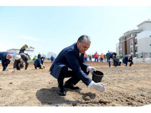 Muratpaşa’da mısır ekim alanı iki katına çıktı