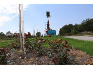 Daha yeşil bir Alanya için çalışmalar sürüyor