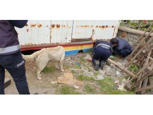 Konteyner Altına Sıkışan Yavru Köpeği İtfaiye Ekibi Kurtardı