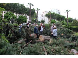 Antalya’da sitede ağaç kesim gerginliği