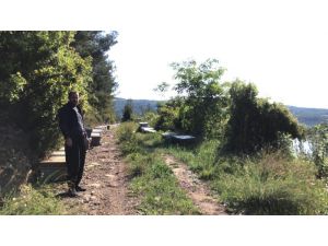 Arı Kovanı Hırsızı Yakalandı