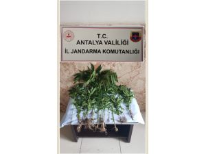 Hint keneviri ekti, "Sokağa çıkamayınca kendim ürettim" dedi