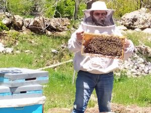 Antalya’da sıcaklıklar arttı, arılar yaylaya taşındı