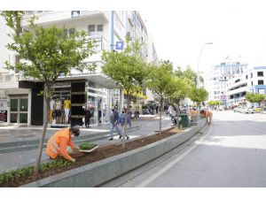 Büyükşehir Güllük Caddesi’ni 40 bin çiçekle süsleyecek