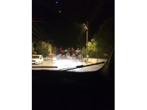 Kamyonet Kasasında Tehlikeli Yolculuk