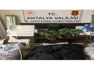 Alanya’da özel düzenekle uyuşturucu yetiştirilen eve baskın