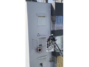 Yaramaz kedinin düştüğü yeri görenler hayrete düştü