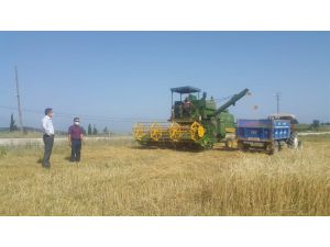 Adana’da Arpa Ve Buğday Hasadı Başladı