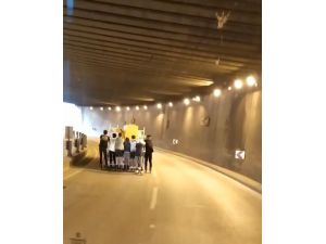 8 patenci gencin işlek caddede tehlikeli eğlencesi