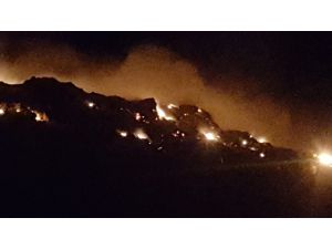 Antalya’da orman yangını