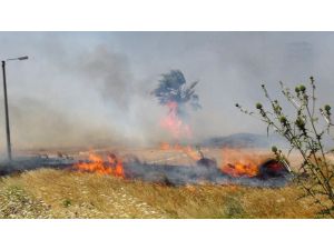 Seka’da Çıkan Yangın Korkuttu
