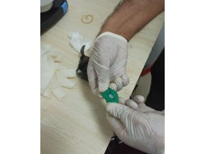 Kadın Yolcunun İç Çamaşırından Uyuşturucu Çıktı