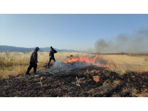 Buğday Tarlasındaki Anız Yangını Korkuttu