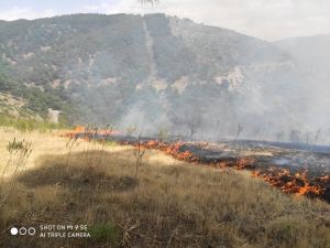 Gaziantep’te Orman Yangını
