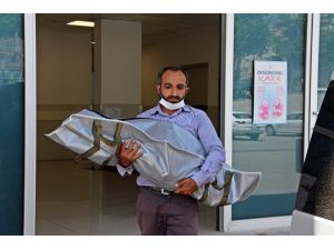 Dayının en acı yükü