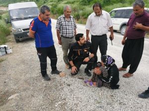 Ormanlık Alanda Kaybolan Yaşlı Kadın Sağ Olarak Bulundu