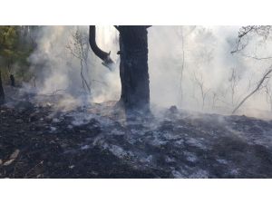 Antalya’da 2 dönüm makilik alan yandı