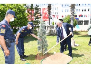 Vali Karaloğlu Jandarma Komutanlığı’nın bahçesine veda fidanı dikti