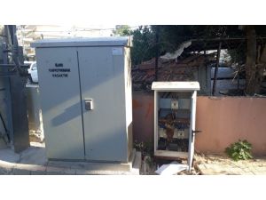 Elektrik panosuna giren sansar akıma kapılıp telef oldu