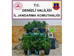 Kenevir Yetiştirmek İçin Kurdukları Düzenek Pes Dedirtti