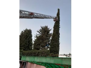 Uçurtmasını Almak İçin Çıktığı Ağaçta Mahsur Kaldı