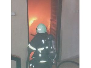 Bodrumda Çıkan Yangın Korkuttu