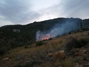 Adana’da Orman Yangını
