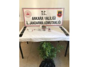Ankara’da Jandarmadan Uyuşturucu Tacirlerine Operasyon