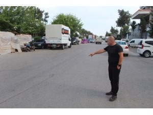 Kamyonetin çarpıp kaçtığı köpek barınakta tedavi altın alındı