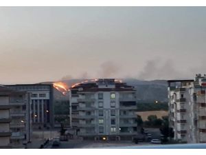 Zergil Dağı’ndaki Orman Yangını Söndürüldü