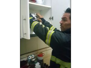 Aspiratöre Sıkışan Kediyi İtfaiye Kurtardı